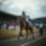 경기보는곳: 한국 내 스포츠 베팅과 복권의 권위있는 가이드 Introduction