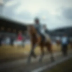 경기보는곳: 한국 내 스포츠 베팅과 복권의 권위있는 가이드 Introduction